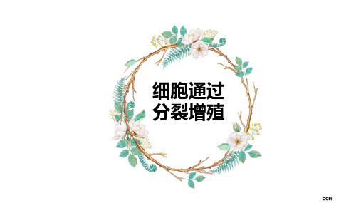 细胞通过分裂增殖高中生物优质公开课