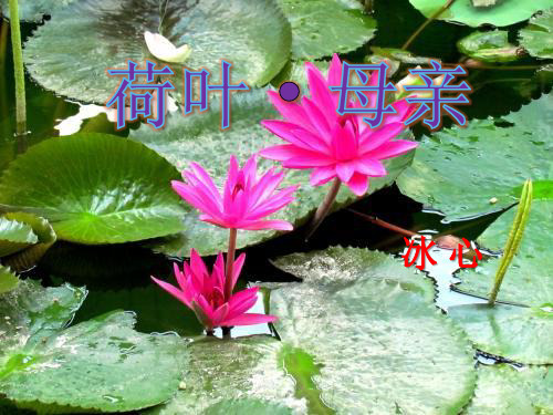 《诗二首》ppt部编版初中语文1