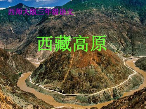 西师大版三年级语文西藏高原