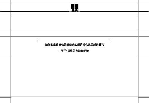 如何制定战略来实现集团新发展(ppt 30页)