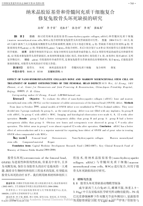 纳米晶胶原基骨和骨髓间充质干细胞复合修复兔股骨头坏死缺损的研究