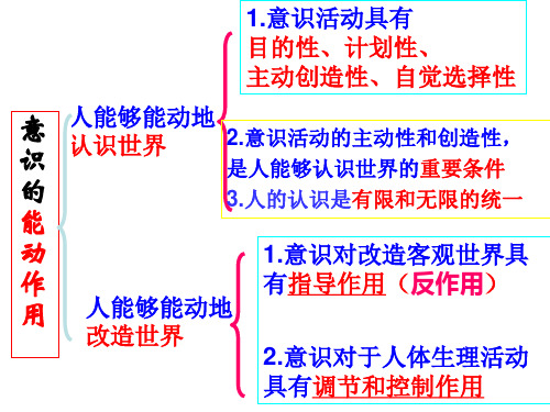 人的认识从何而来(上课用)