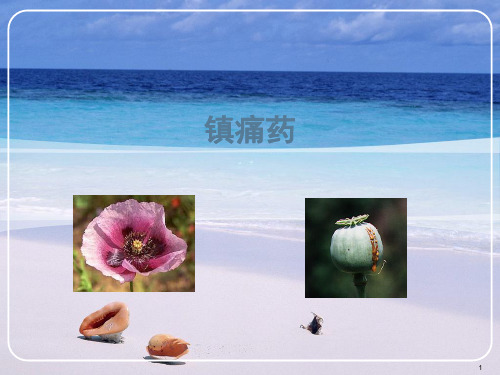(推荐课件)阿片类镇痛药PPT幻灯片