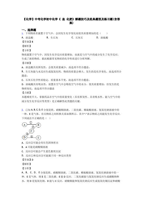 【化学】中考化学初中化学《 盐 化肥》解题技巧及经典题型及练习题(含答案)