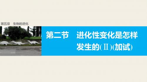 浙科版必修二 5.2进化性变化是怎样发生的(II) 课件(29张)