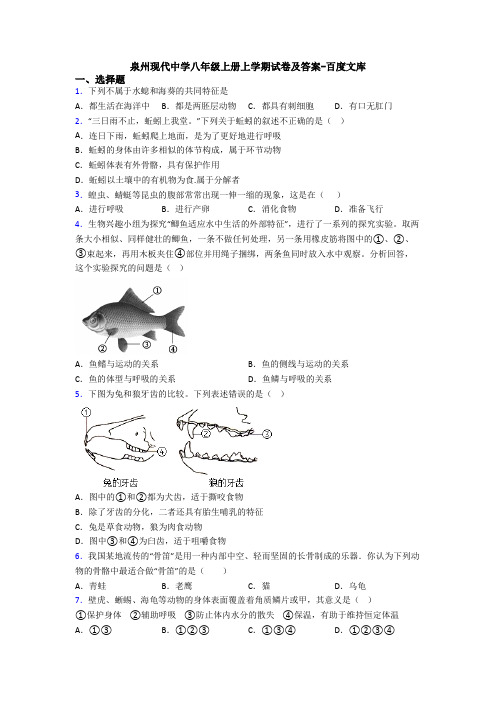泉州现代中学八年级上册上学期试卷及答案-百度文库