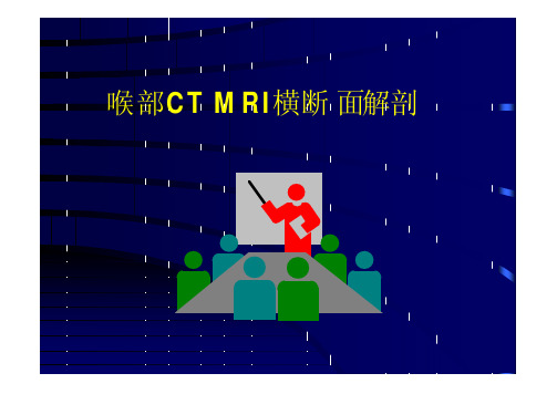 喉部CT MRI横断面解剖
