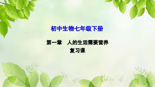 济南版初中生物七年级下册第三单元第一章人的生活需要营养(复习课)课件(共37张PPT)