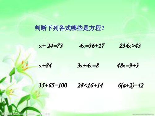 五年级数学(等式的性质)