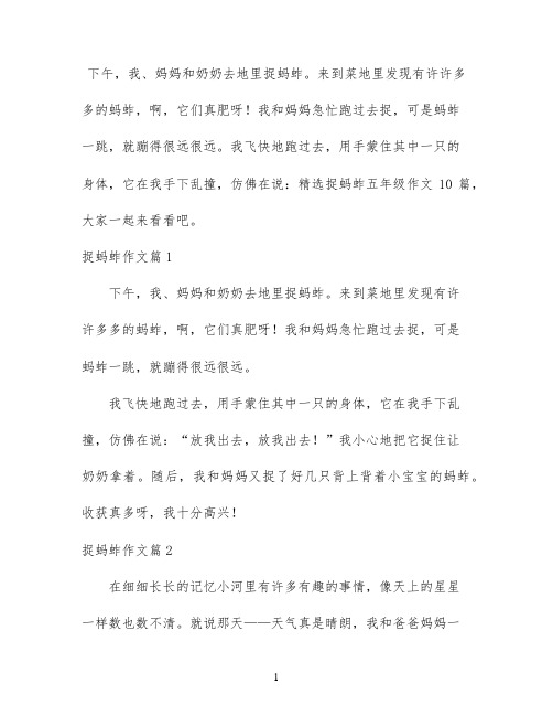 精选捉蚂蚱五年级作文10篇