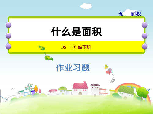 北师大版三年级数学下册《5.1 什么是面积》习题课件(附答案)