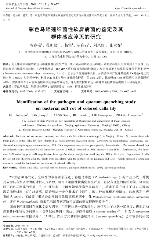 群体感应文献
