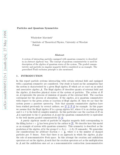 Particles and Quantum Symmetries