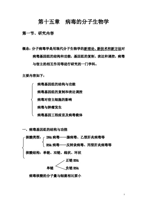 【大四 必修】分子生物学第十五章  病毒的分子生物学教案