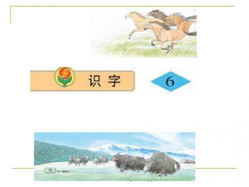 苏教版二年级上册语文《识字6》公开课课件PPT