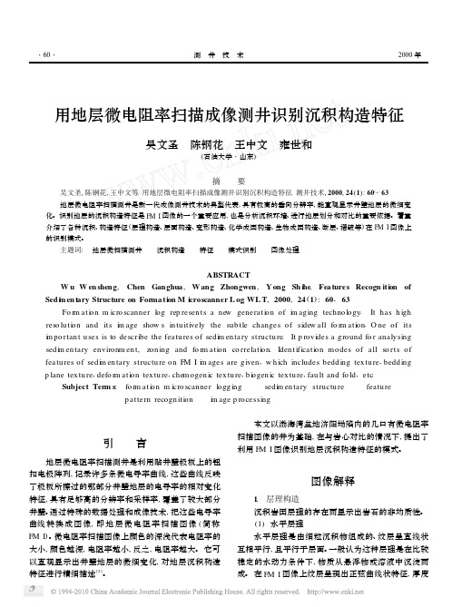 用地层微电阻率扫描成像测井识别沉积构造特征_吴文圣