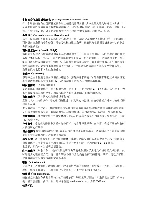 超微 名解