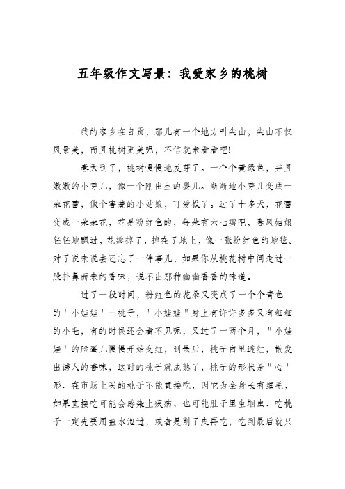 五年级作文写景：我爱家乡的桃树