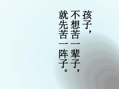 初中九年级语文复习：专题一 记叙文阅读 课 件(共10张PPT)