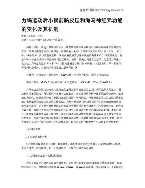 力竭运动后小鼠前脑皮层和海马神经元功能的变化及其机制