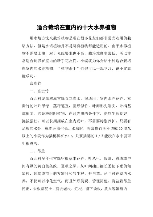 适合栽培在室内的十大水养植物