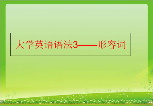 【精品】大学英语语法3——形容词ppt课件