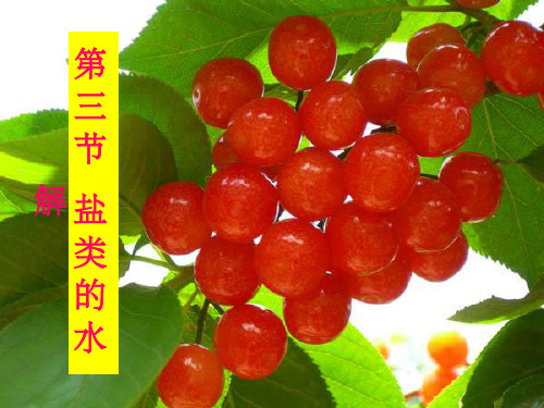 第三章_第三节_盐类的水解