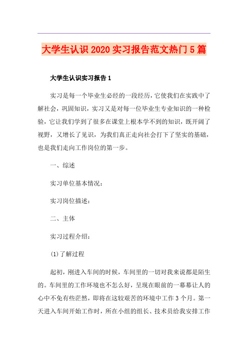 大学生认识实习报告范文热门5篇