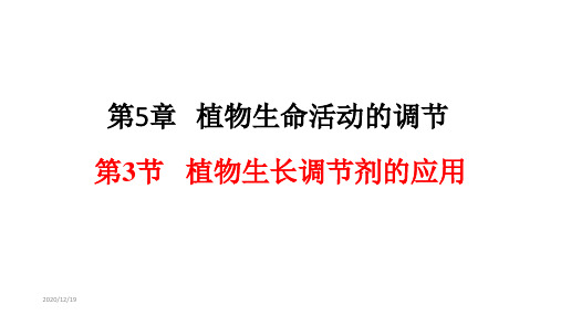 5.3 植物生长调节剂的应用 课件【新教材】人教版(2019)高中生物选择性必修1
