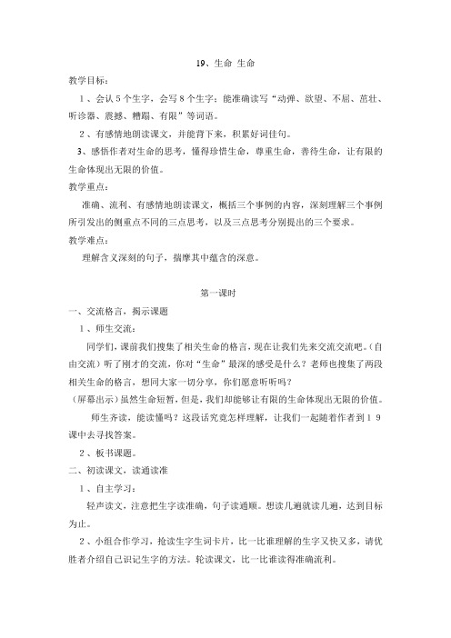 19生命生命教案