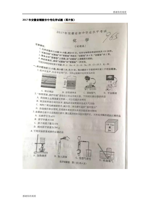 2017年安徽省铜陵市中考化学试题(图片版) .doc
