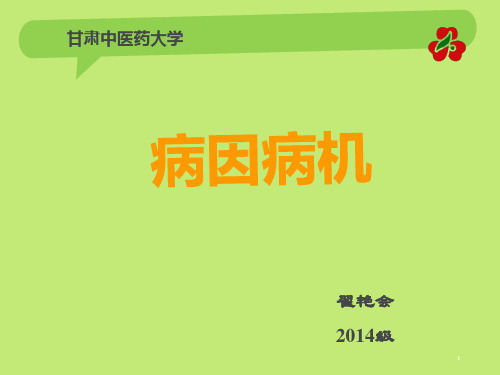 中医病因病机(完整)学习资料