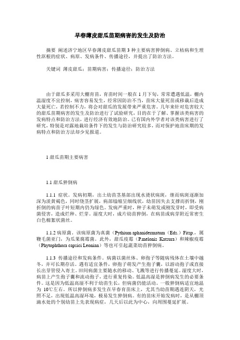 早春薄皮甜瓜苗期病害的发生及防治