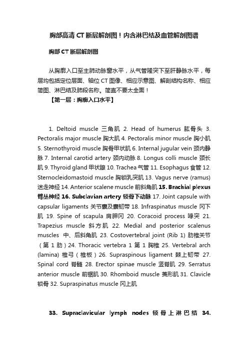 胸部高清CT断层解剖图！内含淋巴结及血管解剖图谱