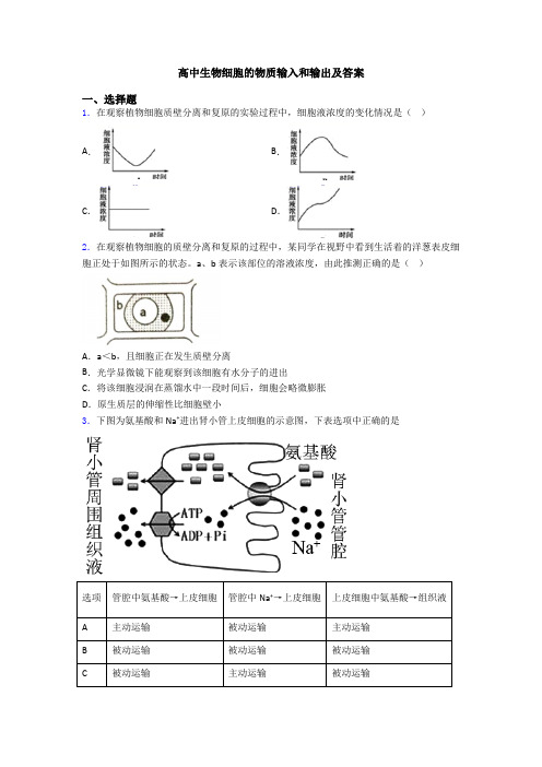 高中生物细胞的物质输入和输出及答案