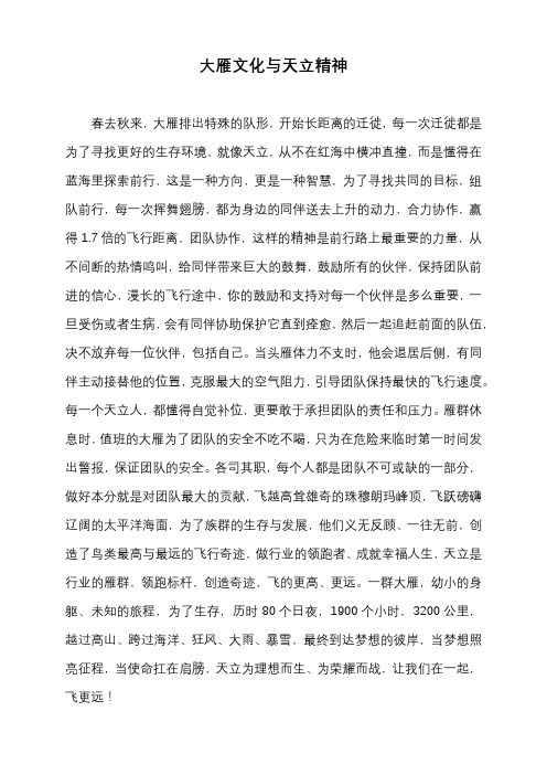 大雁文化与天立精神(冯空军)