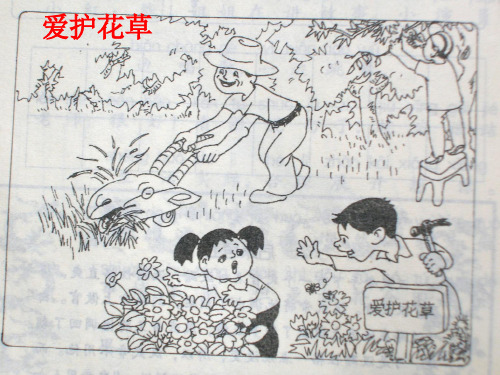 小学二年级看图写话[1]