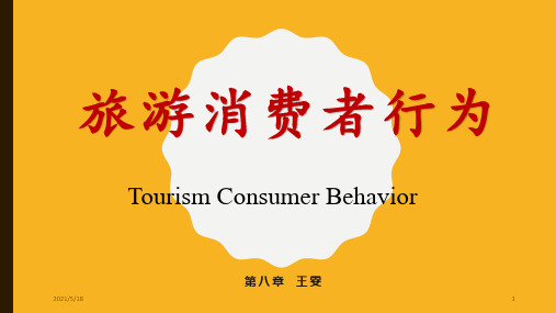旅游消费者行为(第八章-体验)
