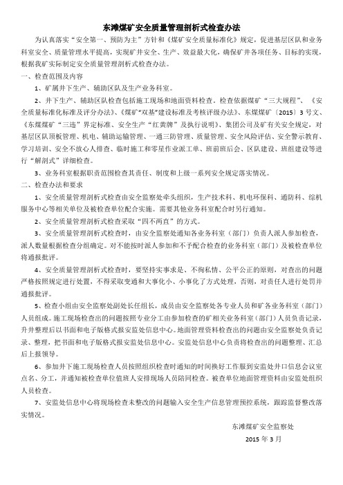 安全质量管理剖析式检查办法