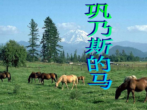 《巩乃斯的马》PPT精选优质教学课件3