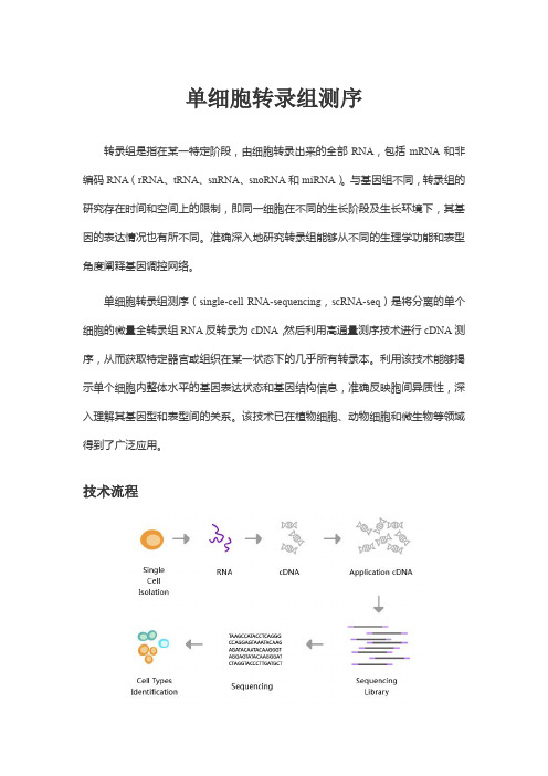 单细胞转录组测序