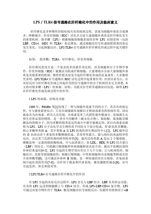 LPS／TLR4信号通路在肝纤维化中的作用及临床意义