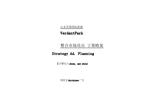 山水芙蓉国际新城整合市场攻击策略案