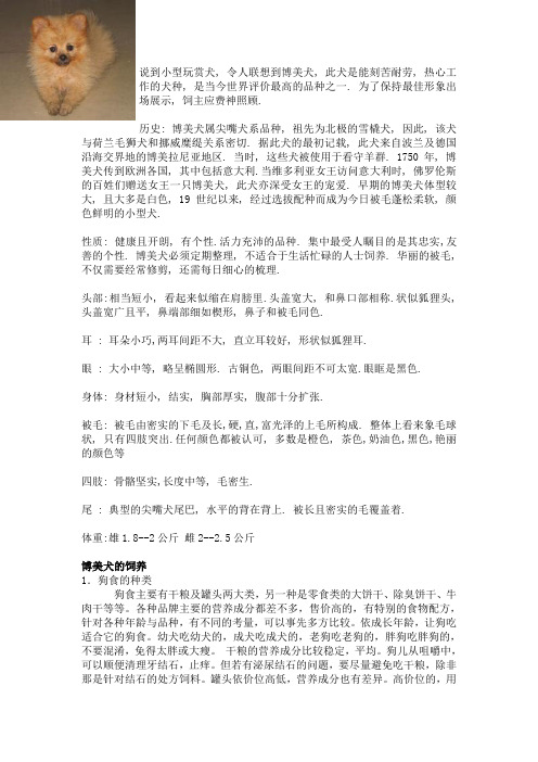 博美犬