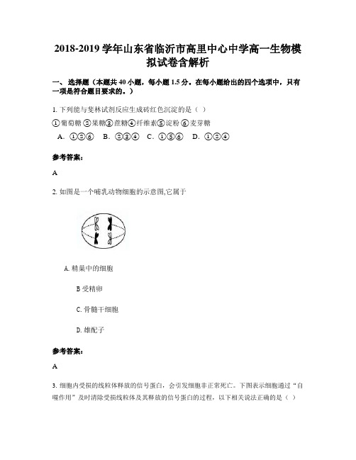 2018-2019学年山东省临沂市高里中心中学高一生物模拟试卷含解析