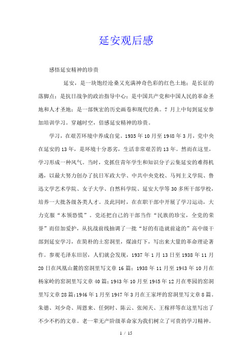 延安 观后感