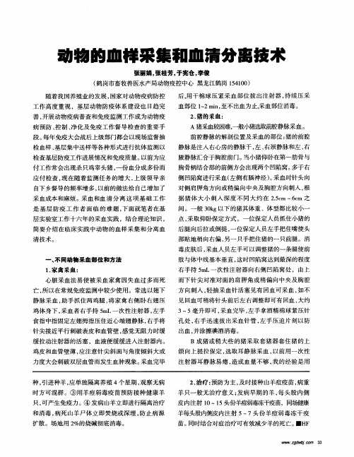 动物的血样采集和血清分离技术