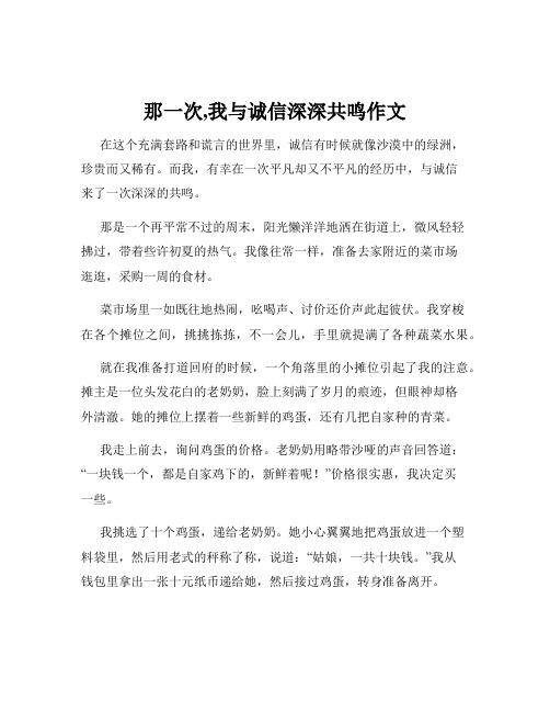 那一次,我与诚信深深共鸣作文