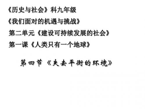 《失去平衡的环境》