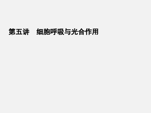 高考生物 二轮复习全攻略 1-2-5《细胞呼吸与光合作用》 新人教版